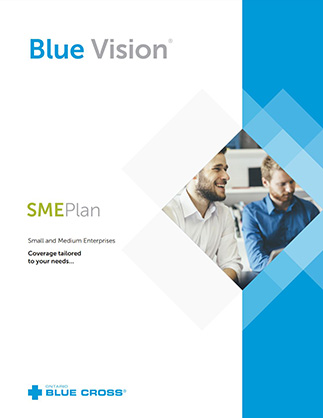 sme plan